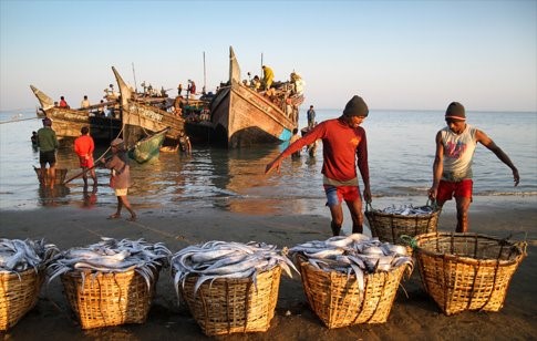 bangladesh fishers